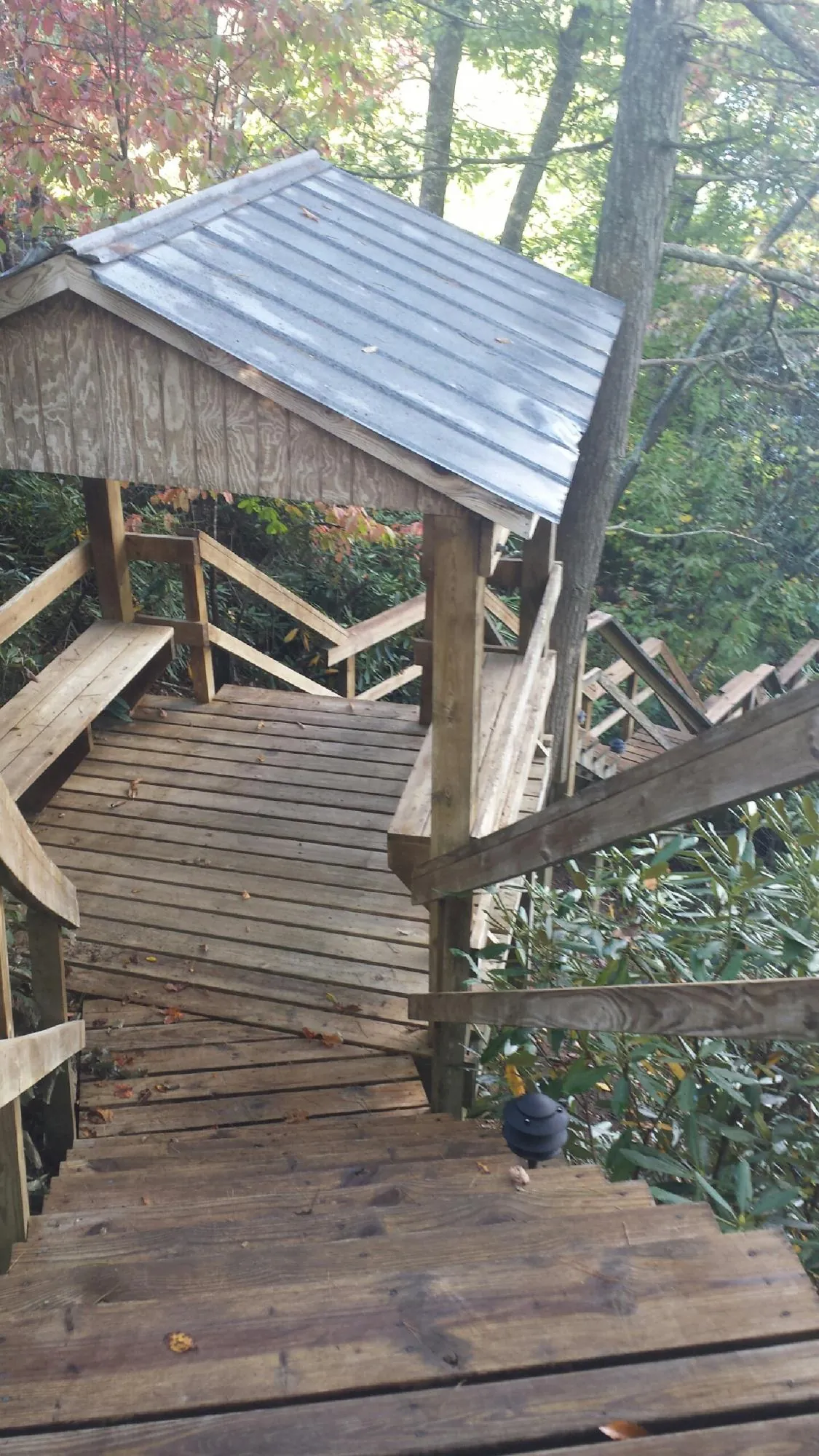 Metal roofed shelter over wooden steps on a wooded walkway — Skylight Repair & Installation work by our crew in Lonedell